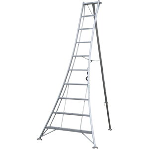 �A���C���R �y�l��s�z �A���C���R �A���~�����|�p�O�rKWX �V����2.9 KWX300 [79-236040]