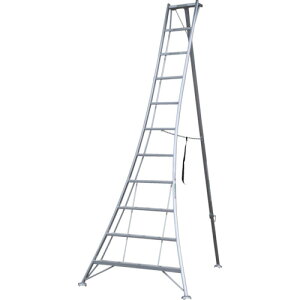 �A���C���R �y�l��s�z �A���C���R �A���~�����|�p�O�rKWX �V����3.19 KWX330 [79-236057]