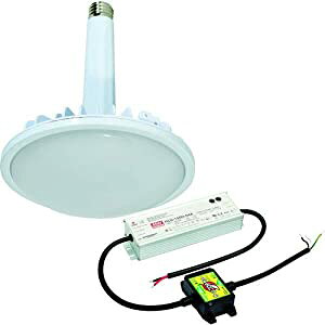 H ylsz nCXybNnCfBXN100W duOt^ F  Ch L100V2-E39-HMW-50K-N [88-054611]