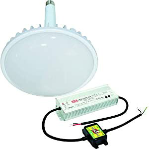 H ylsz nCXybNnCfBXN300W duOt^ F  Ch L300V2-E39-HMW-50K-N [88-054734]