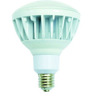 H LED LED nCXybNGRrbN40W E39 F {̔ L40V2-J110-50K [88-055281]