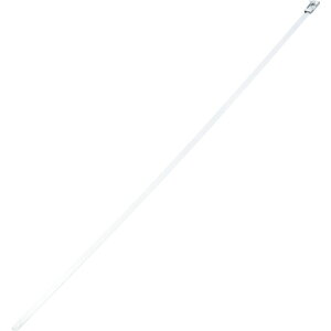 �p���h�E�C�b�g MS�i�o�b�N�����b�N���j�X�e�����X�X�`�[���o���h MS10W50T15-L4 [1094-446964]