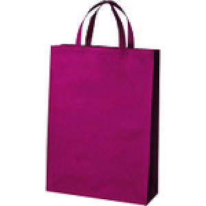 �v���X JTX 871062�j�s�D�z��񂰃o�b�O��10�����C�� B451J-WN B451J-WN [1105-5050650]