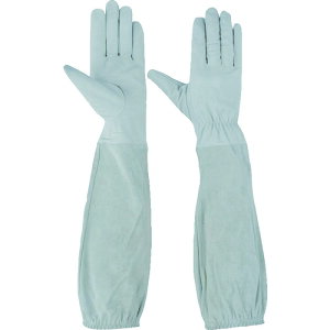 Yf I܂Œ`v M ؖ{v܁iڂ^Cvj 55698 [1123-556989]