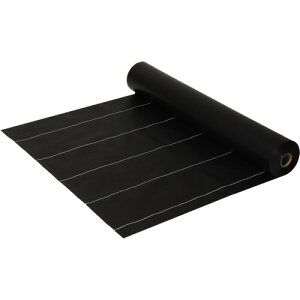 H  ^[s[ OhoANX[10ihpV[gj ubNiʃ~tj 2.0m×50m/R GBC10L-2050 [1290-4013620]