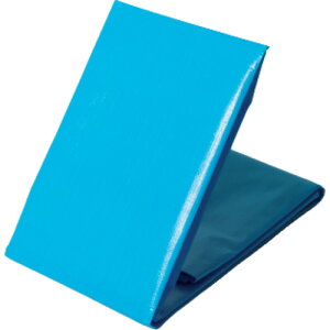 �����H�� ���� NEO�V�[�g�i�u���[�V�[�g�j #3000 2.7m×2.7m NEOS2727 [1290-4706423]