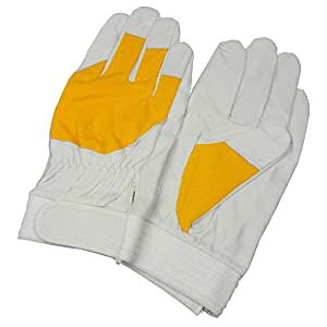 xmO[u ؖ{v܁i}WbN^Cvj ؖ{v F-505 AX[g CG[S 5882 [1294-588201]