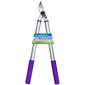 OR[|[V SITA A~Ɍy^ A954 [1322-8280636]