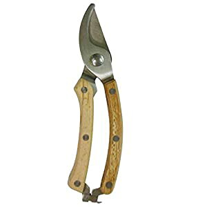 OR[|[V sita XeX 180mm A004 [1322-8283552]