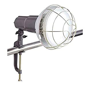 OR[|[V TCL-50W NvVLLEDgEREL TCL-50W [1322-8306480]