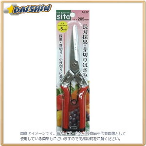 OR[|[V SITA n̉ʁE؂͂ A912 [1322-280346]