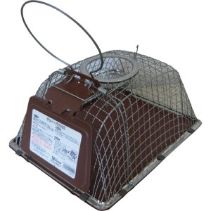 Rp y40̔zߊl `[EnEX^ 022292 [136-00000472]