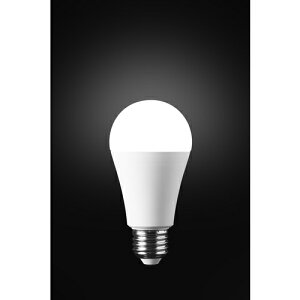 ͂Ȑ쏊 hГd2025f KS01N-WH F KS01N-WH [139-771025]