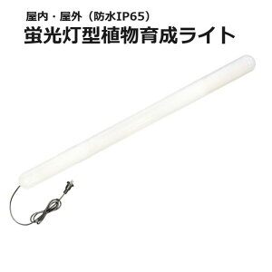 xmq u^A琬Cg 36W KY-36W-SC [1396-0324284]