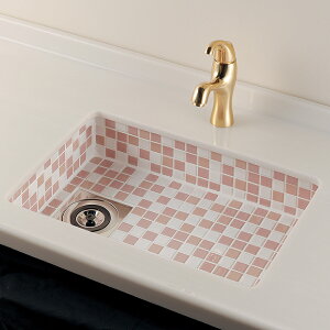 JN_C KAKUDAI Hʊi^C\j//sN~bNX 493-218-PM [142-109975]