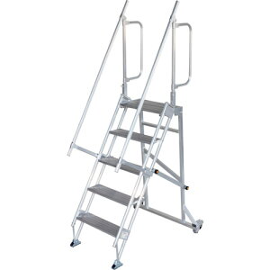 ���J��H�� �y�ʓr�����z �y�l��s�z �n�Z�K�� ���ړI��Ƒ� �L�����X�^�[40cm CS-40-5-135 5�i�i35335�j CS-40-5-135 [1427-00000786]