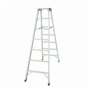 JH yʓrz nZK A~VLpr V2.1m SWH-21 [1427-7401210]