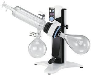 AY AS ONE yʓrz ylsz [^[Go|[^[ 2-8100-31 [1445-0082619]