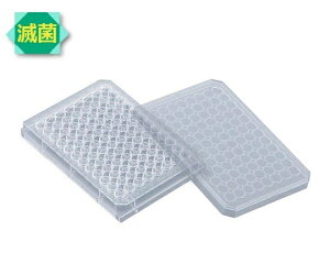 AY AS ONE rI96EFv[gےWtŋ 1-1601-05 [1445-0018086]