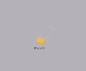 AY AS ONE XChKXEIW 1-9647-12 [1445-0021308]