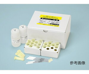 AY AS ONE HAQȈՌoLbgiAQAC@CmN}gj哤iMpj@5 2-9027-15 [1445-0057690]