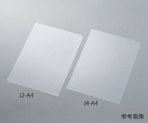 AY AS ONE PETZp[^tBiVRnj@10 3-9502-06 [1445-0072812]