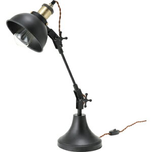 J Cg fXNCg ubN W20-50×D16×H26-59(R[h:1.5m) g LHT-737 [1456-5204311]