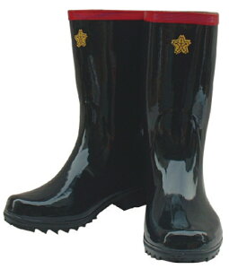 萻쏊 IWA IWAhC 30.0cm F 27FB300R-B [1480-00000053]