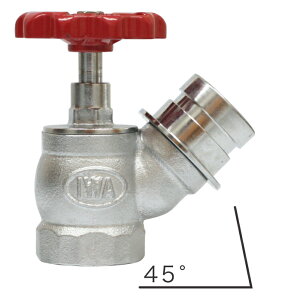 萻쏊 IWA Œoui1.6MPaUj 25Ax45°BR 31SV2545B [1480-00000307]