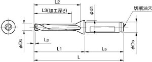 ���Z�� KYOCERA �h�����p�z���_ SF25-DRC180M-5 [152-539789]