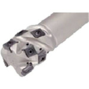 CXJWp CXJ w^O NbNtBbgA_v^[^CvwJGh~ T490 LNK-CF4-13 T490LNK-D50-59-4-CF4-13 [1526-0027351]