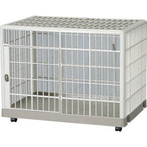 ACXI[} IRIS yʓrz vP[W x[W 810 [155-233755]