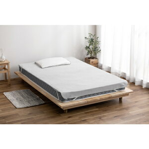 ACXI[} IRIS hV[c CgO[ FLS-TCST-S [155-653602]