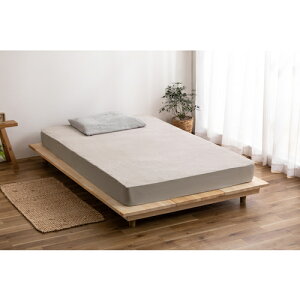 ACXI[} IRIS h{bNXV[c x[W BXS-TCST-D [155-653770]