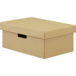 ACXI[} IRIS i{[[P[X2Zbg Ntg DB-250 [155-694056]