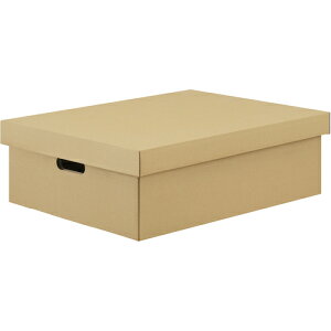 ACXI[} IRIS i{[[P[X2Zbg Ntg DB-490 [155-694070]