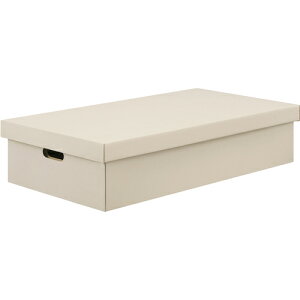 ACXI[} IRIS i{[[P[X2Zbg zCg DB-700 [155-694087]