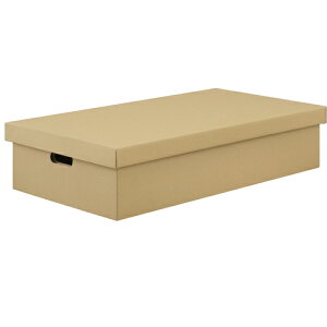 ACXI[} IRIS i{[[P[X2Zbg Ntg DB-700 [155-694094]