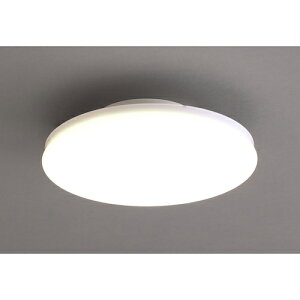 ACXI[} IRIS ^V[OCg ` 2000lm dF SCL20L-UU [155-384261]