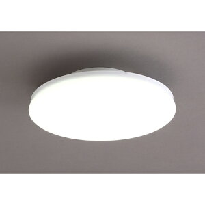 ACXI[} IRIS ^V[OCg ` 2000lm F SCL20N-UU [155-384278]