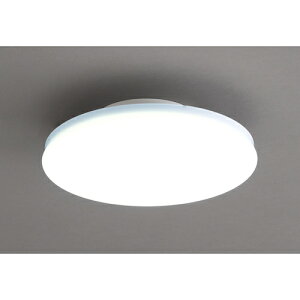 ACXI[} IRIS ^V[OCg ` 2000lm F SCL20D-UU [155-384285]