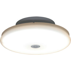 ACXI[} IRIS ^V[OCg ` 1200lm lZT[t dF SCL12LMS-UU [155-384339]