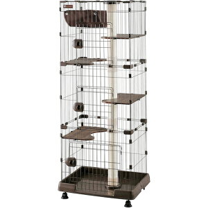 ACXI[} IRIS yʓrz LbghP[W _[NuE PCLC-703 [155-599979]