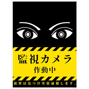 �O���[���N���X �y�ʓr�����z �y�l��s�z �h�ƕW�� CPS-01M�Q225×300 �Ď��J�����쓮�� 6300046237 [1560-3468608]