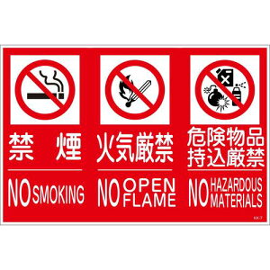 O[NX yʓrz ylsz KK-M7 ֎~sוW  3 450x300 6300005159 [1560-6246193]