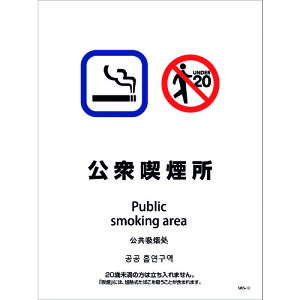 O[NX yʓrz ylsz iݔXebJ[ ǖʏʗp 4^Cv SWS-10 Oi 1146551610 [1560-6234459]