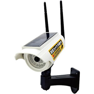 O[NX yʓrz ylsz \[[[d hƃ_~[JCg 2^ 6300040294 [1560-0989672]