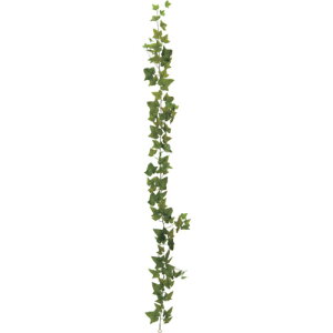 �O���[���N���X �y�ʓr�����z �y�l��s�z 180cm�A�C�r�[�K�[�����h 6300029118 [1560-3638411]