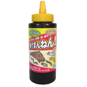 O[NX yʓrz ylsz  ܂˂ t̃^Cv 500ml 6300046276 [1560-0000223]