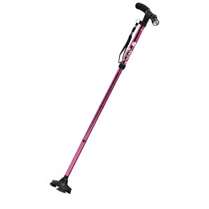 O[NX yʓrz ylsz LEDCgt4_XebL sN 6300056491 [1560-8150138]